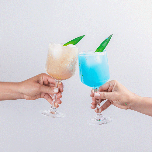 Super Brain Bundle (Chagaccino + Buddhi Blue)