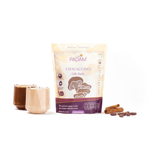 Chagaccino | 500 gr | 150 servings