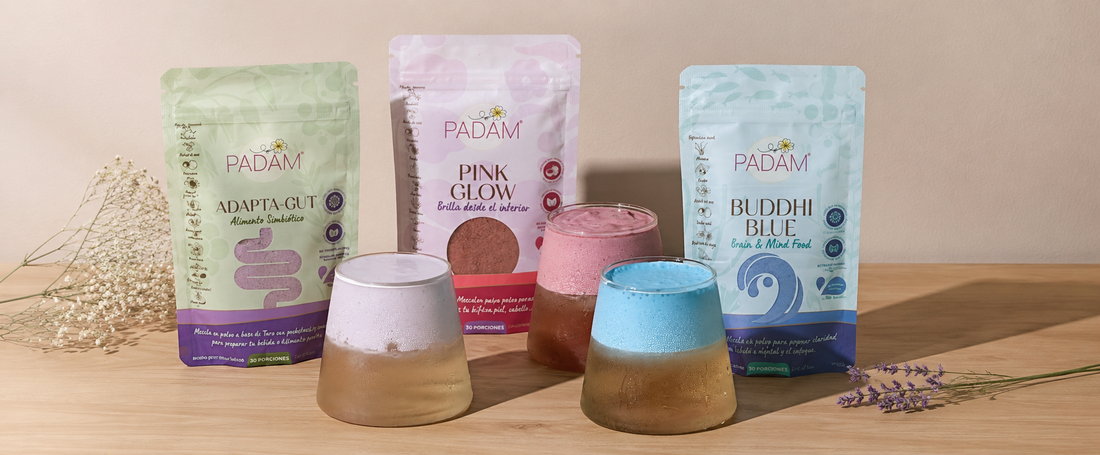 Wellness Rituals to Support Your Health and Well-Being