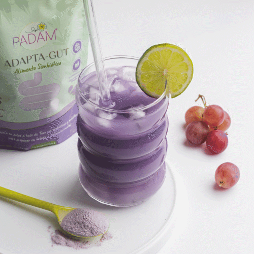 Adapta - Gut | 100 gr | 30 servings