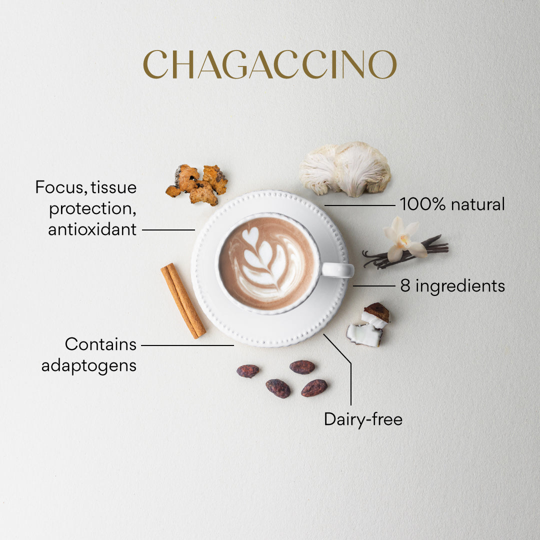 Chagaccino | 100 gr | 30 servings